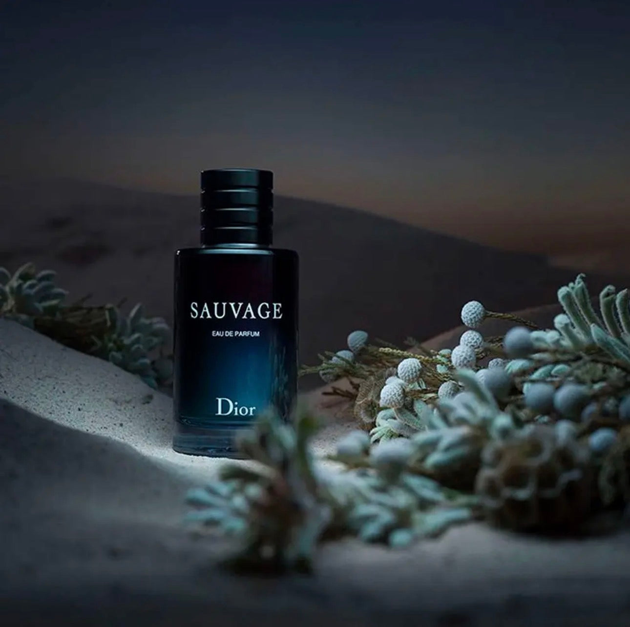 🔷 Dior Sauvage Eau de Parfum — El Ícono de la Masculinidad Moderna